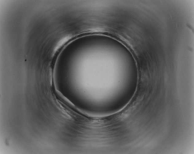 X0000096681171200802051239
