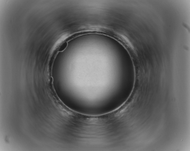 X0000096681172200802051239