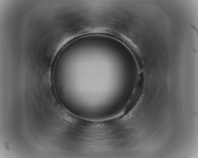 X0000096681174200802051239