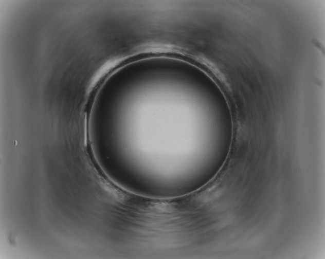 X0000096681175200802051239