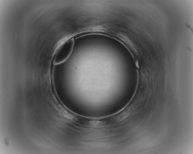 X0000096681176200802051239