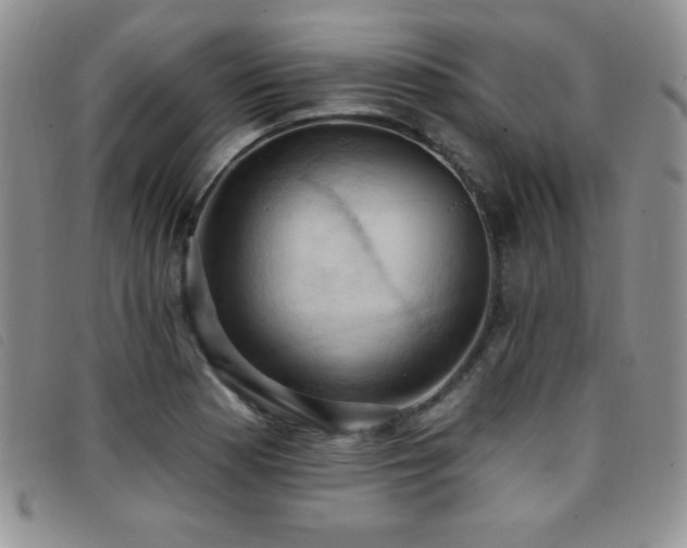 X0000096681177200802051239