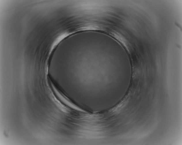 X0000096681179200802051239