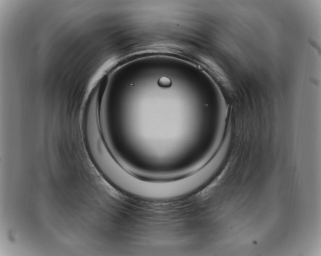 X0000096681180200802051239