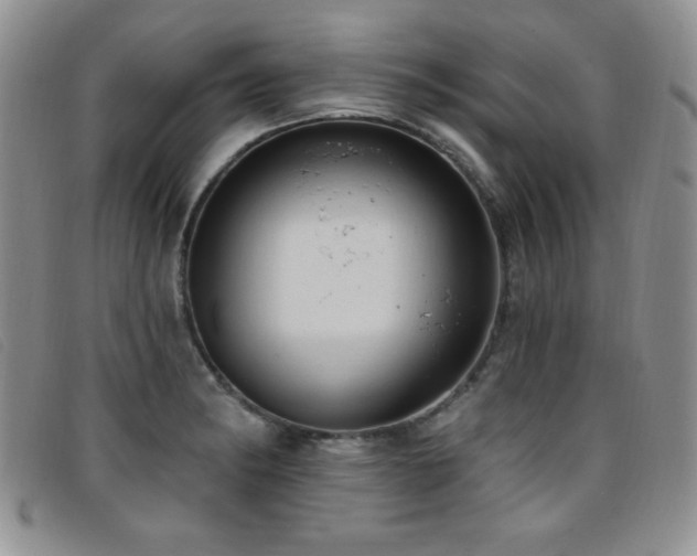 X0000096681182200802051239