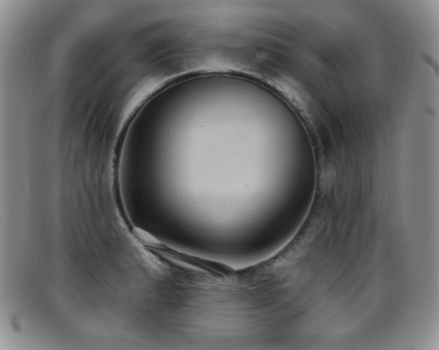 X0000096681183200802051239