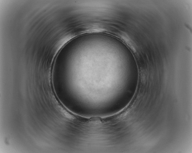 X0000096681186200802051239