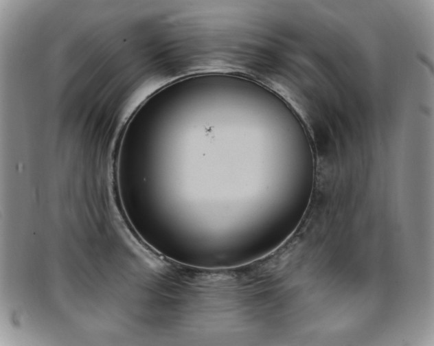 X0000096681187200802051239