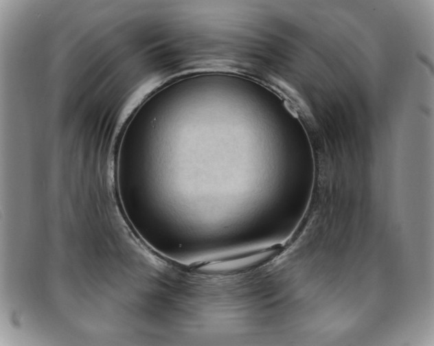 X0000096681188200802051239