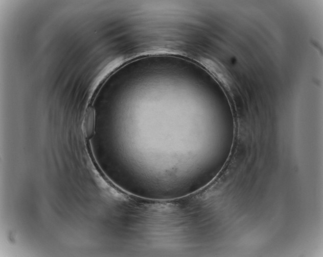 X0000096681189200802051239