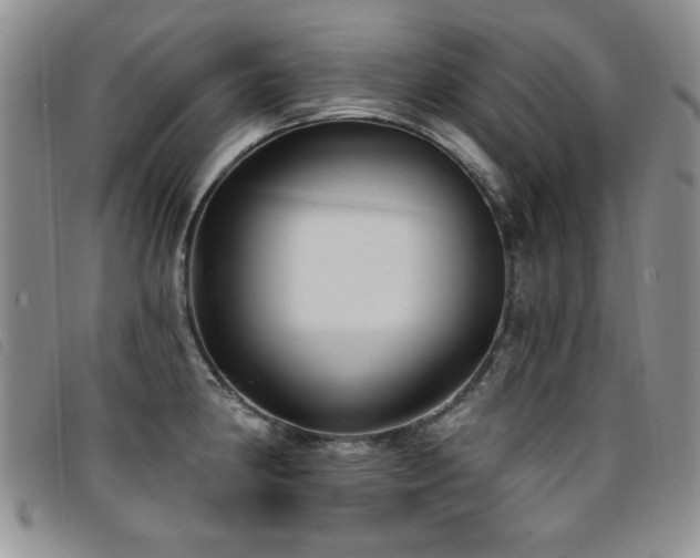 X0000096681190200802051239