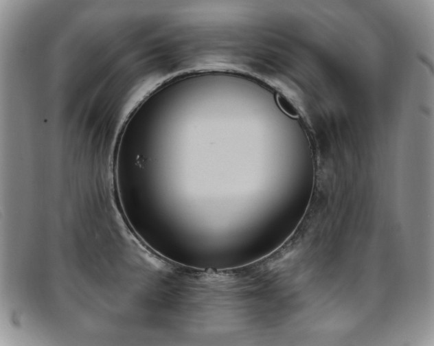 X0000096681191200802051239