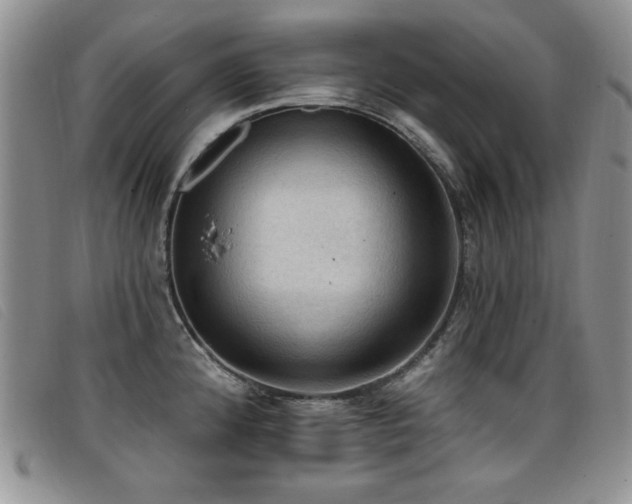 X0000096681192200802051239