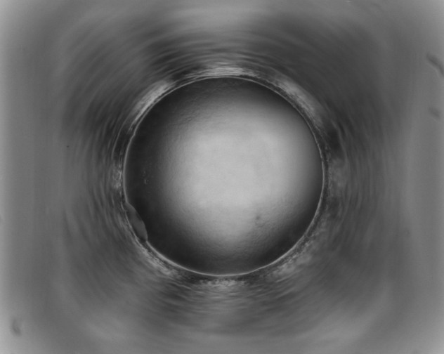 X0000096681193200802051239