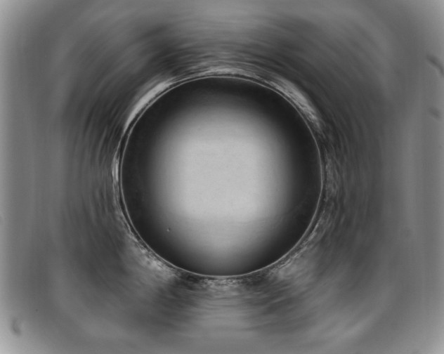 X0000096681198200802051239