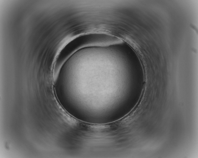 X0000096681200200802051239