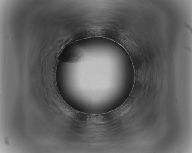 X0000096681201200802051238