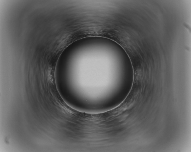 X0000096681202200802051238
