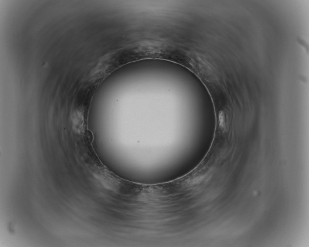 X0000096681203200802051238