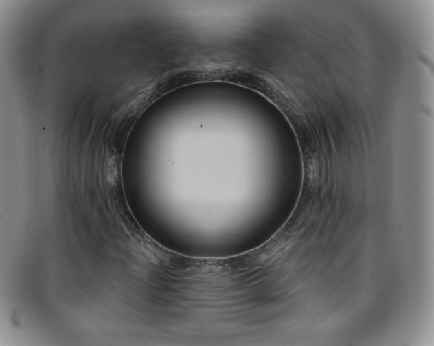X0000096681204200802051238