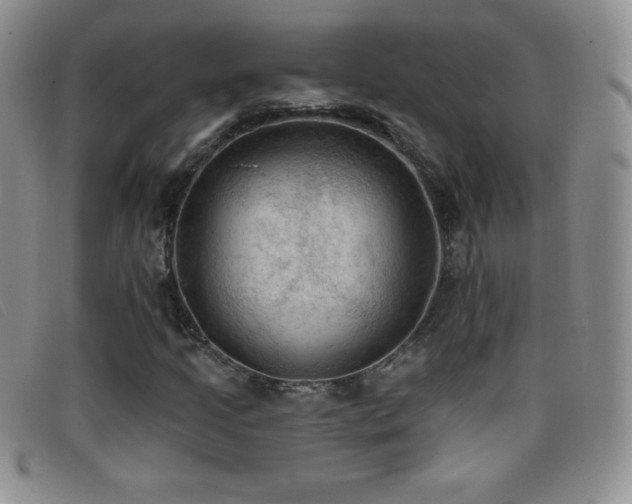 X0000096681205200802051238