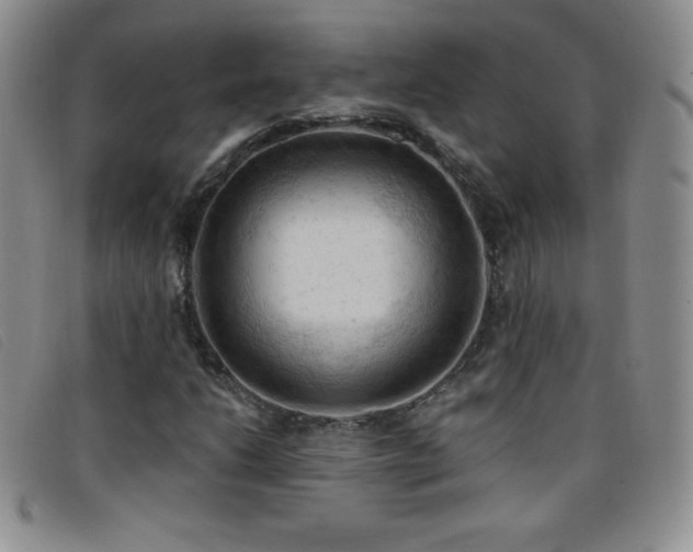 X0000096681206200802051238