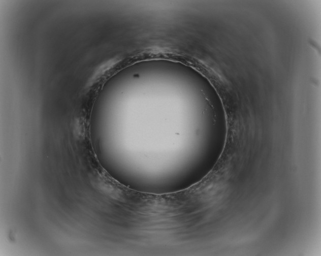 X0000096681207200802051238