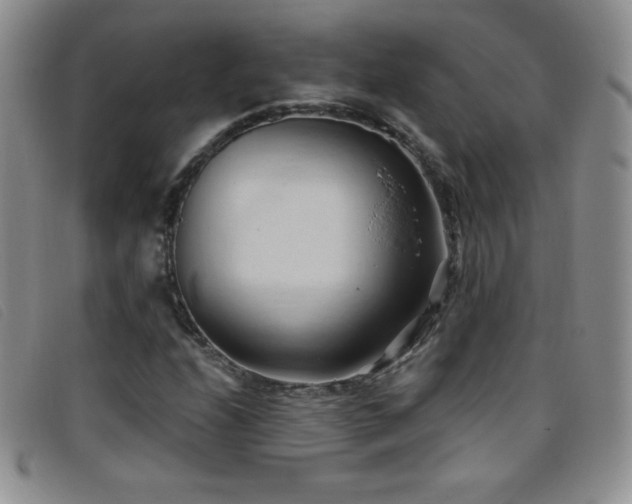 X0000096681208200802051238