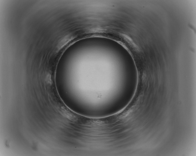 X0000096681209200802051238