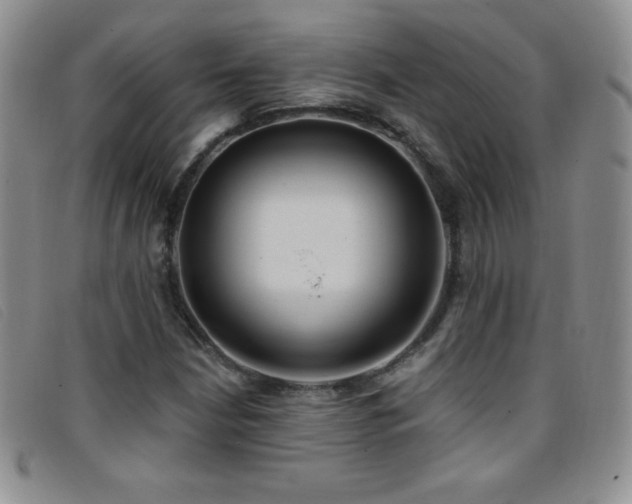 X0000096681210200802051238