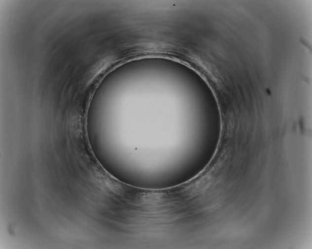 X0000096681211200802051238