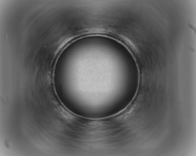 X0000096681212200802051238