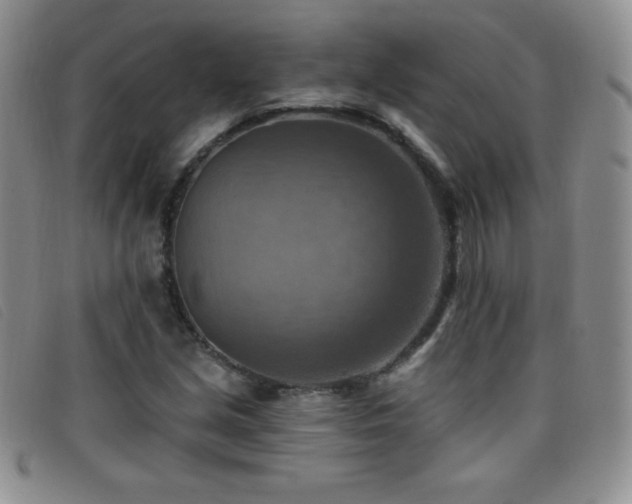 X0000096681213200802051238