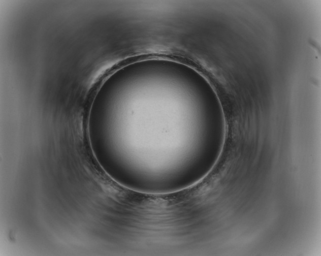 X0000096681214200802051238