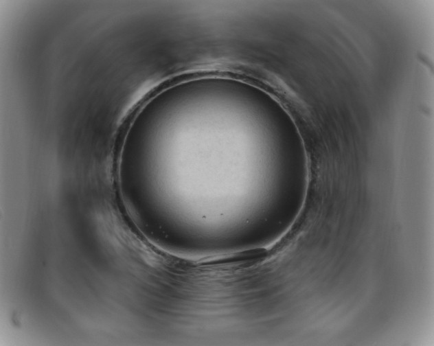 X0000096681216200802051238