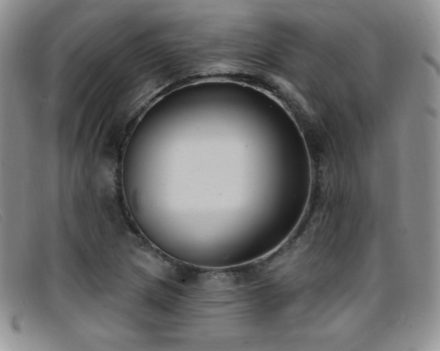 X0000096681217200802051238