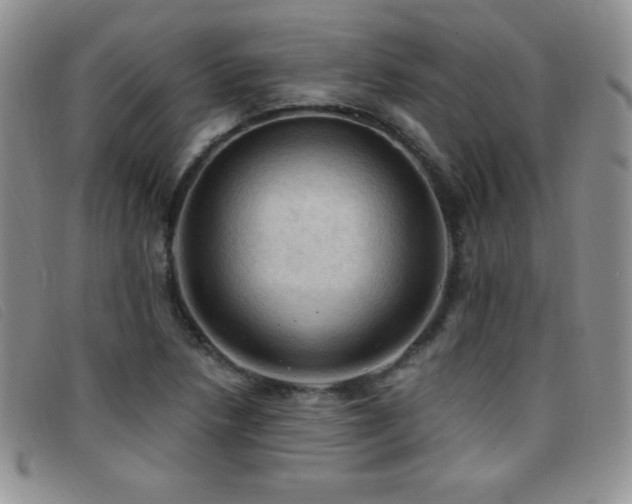 X0000096681218200802051238