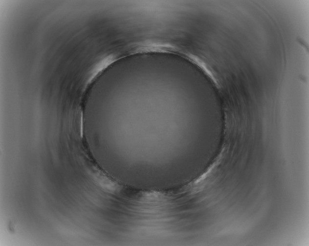 X0000096681219200802051238