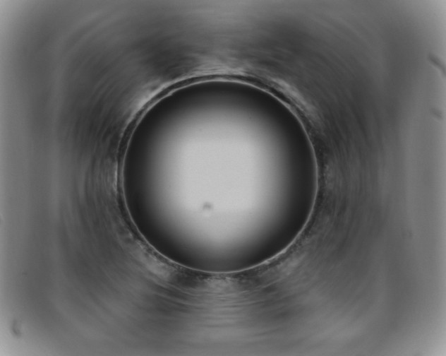 X0000096681220200802051238