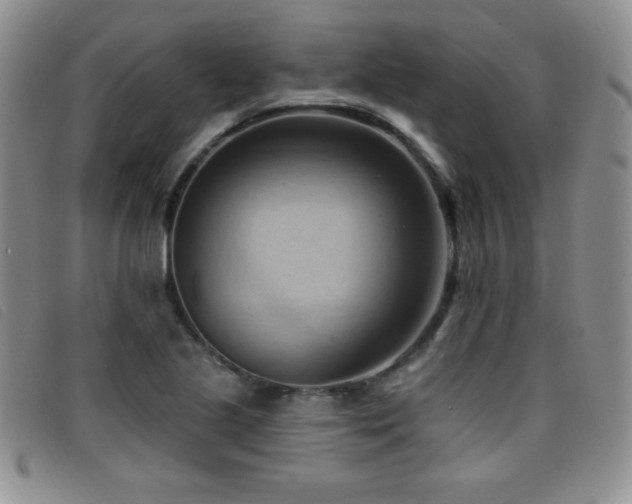 X0000096681221200802051238