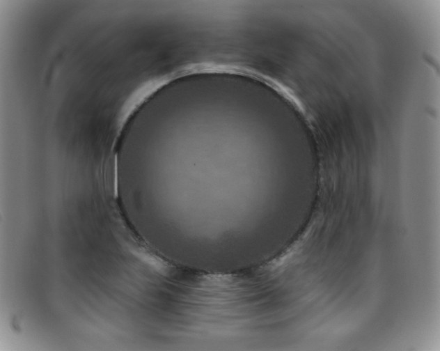 X0000096681223200802051238