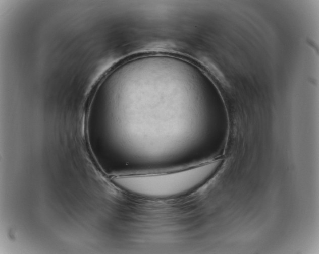 X0000096681224200802051238
