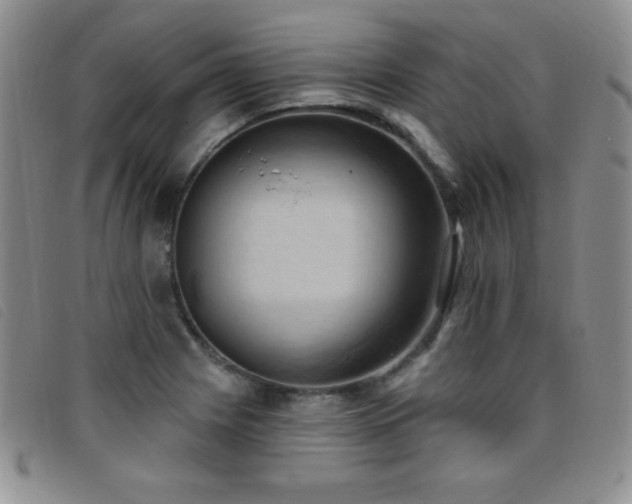 X0000096681225200802051238