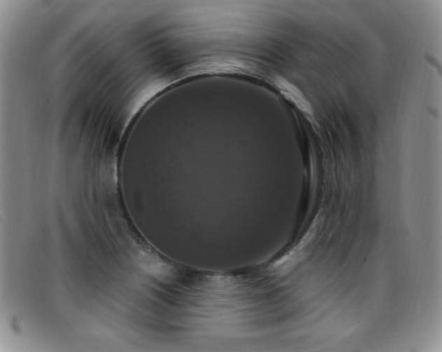 X0000096681226200802051238