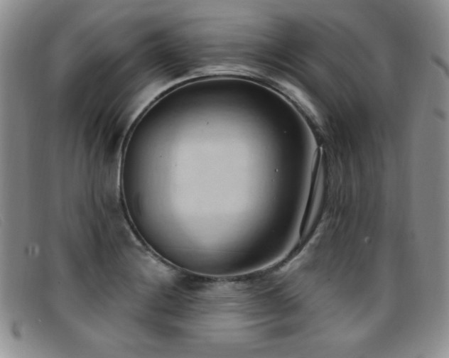 X0000096681228200802051238