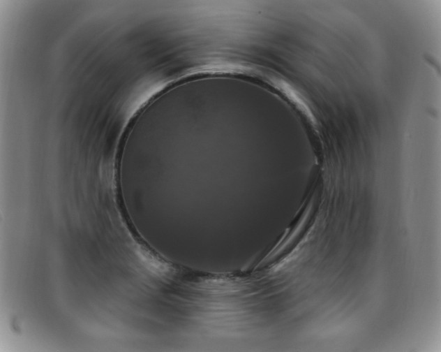 X0000096681229200802051238