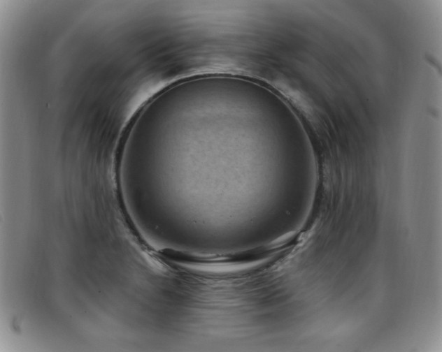 X0000096681230200802051238