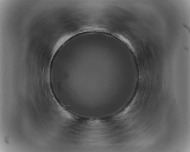 X0000096681231200802051238