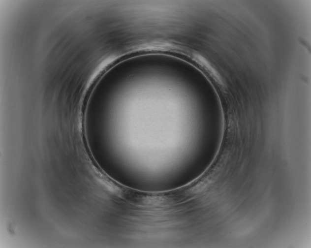 X0000096681232200802051238