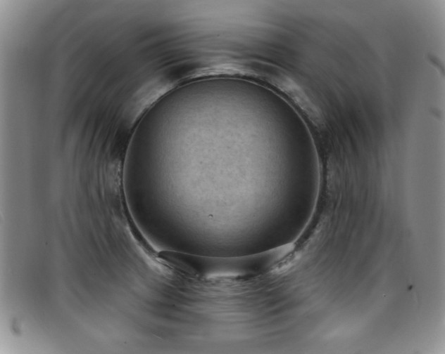 X0000096681233200802051238